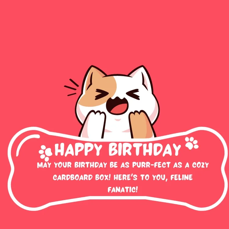 birthday quotes for cat enthusiasts