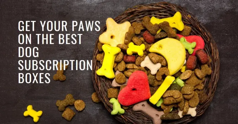 The Ultimate Guide to Dog Subscription Boxes for Every Breed and Size