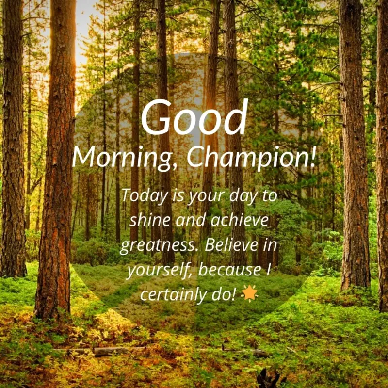 good morning champion! today is your day to shine and achieve greatness. believe in yourself because i certainly do! - inspirational good morning message for a friend