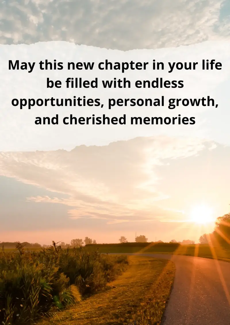 a serene sunset over a calm ocean with text "best wishes on your new chapter in life". perfect for safe travel wishes and a fresh start.